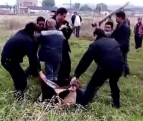 广东清远10岁男童遭残忍杀害，嫌犯已被抓获