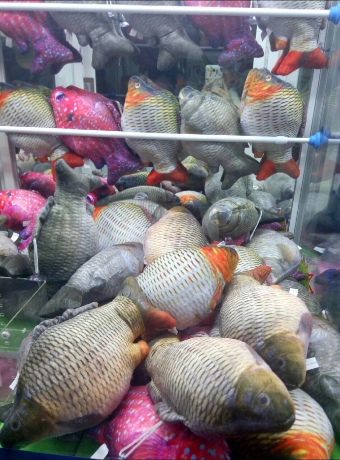 [午FUN来了]花季少年欲火焚身 做了一宿数学作业